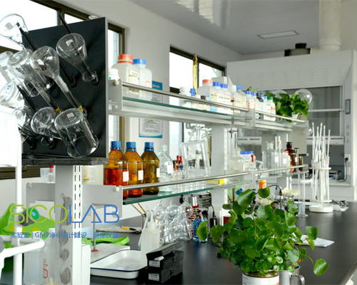 探索SICOLAB专业设计 解析佛山某工厂检测实验室的现场规划与布局